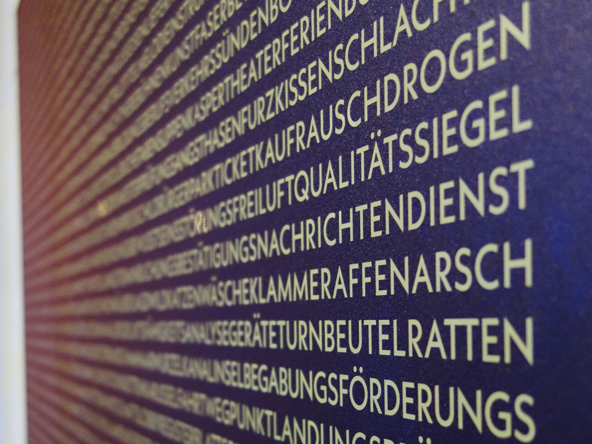 »Taumelkäferplage«, freie Arbeit von Franz Ossig und Meikel Neid für die Ausstellung »Begegnungen« in der Neurotitan Galerie Berlin.